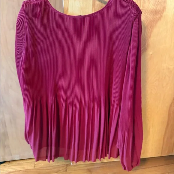 Quince Pleated V-Neck Top in Deep Burgundy - Picture 3 of 3